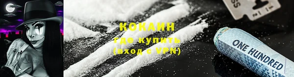 стаф Богородицк