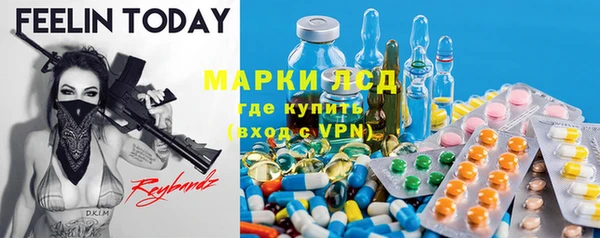 стаф Богородицк