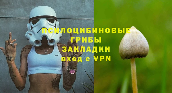 каннабис Богданович