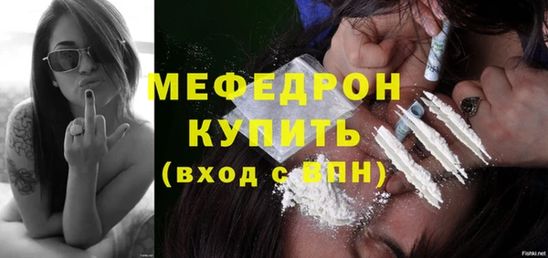 стаф Богородск