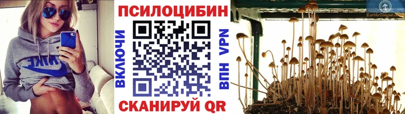 Галлюциногенные грибы мицелий Киржач